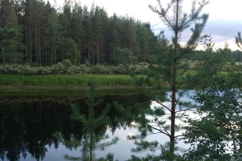 in Vindeln mit Garten, Terrasse und Grill - foto 17