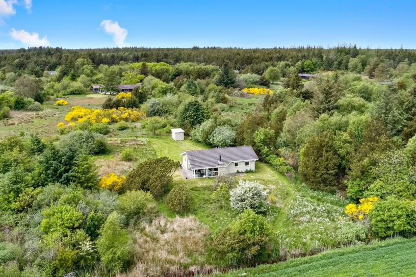 "Aameek" - 3km from the sea in NW Jutland - foto 27