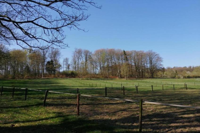 Le Chalet Chaleureux B - foto 29