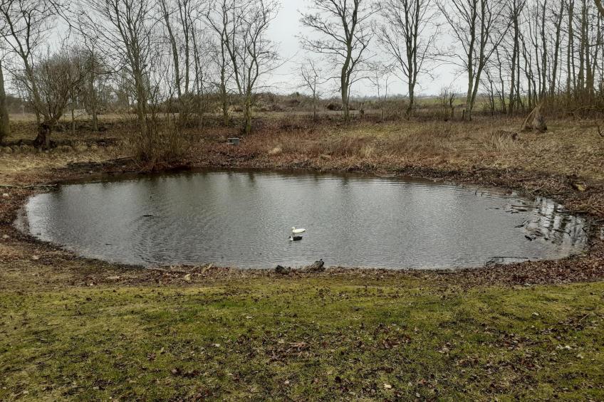 Inselresort Thor Heyerdahl - foto 37