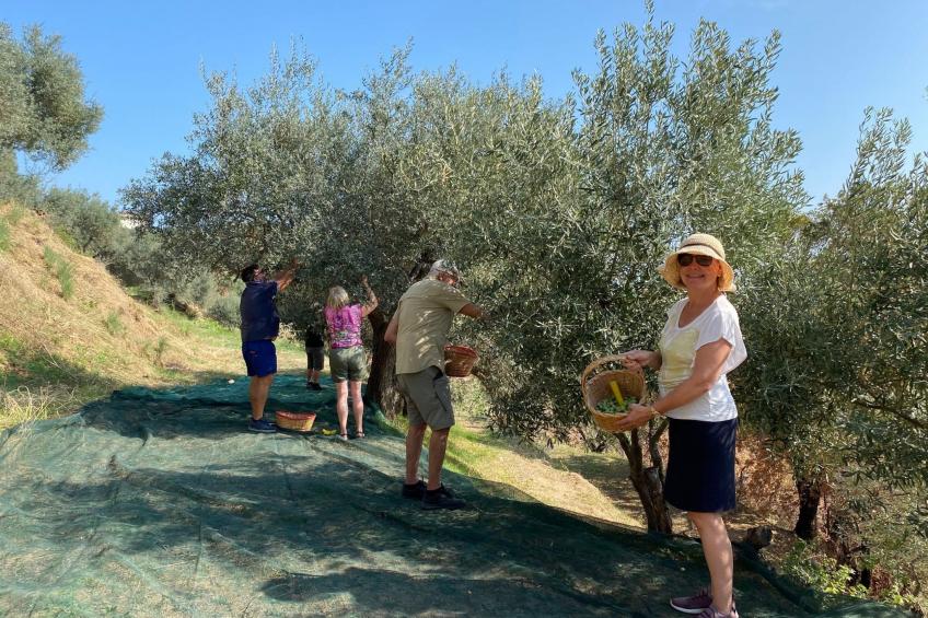 Großes Studio mit Terrasse mit Meerblick - foto 36