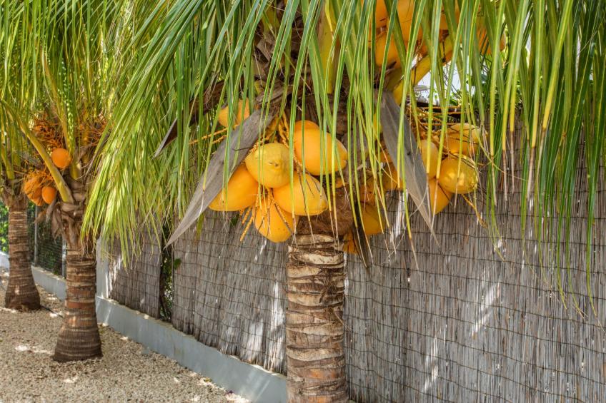 Charme am Hang - Perfekter Rückzugsort im Paradies 1 - foto 18