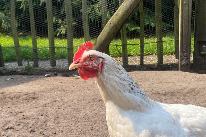 De Groninger Zeeuw - foto 49