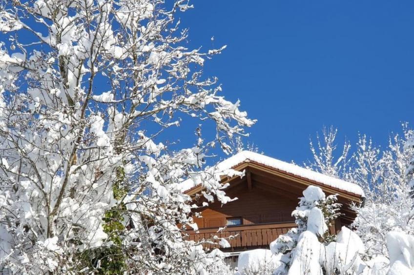 Chalet Traumfleck - foto 7