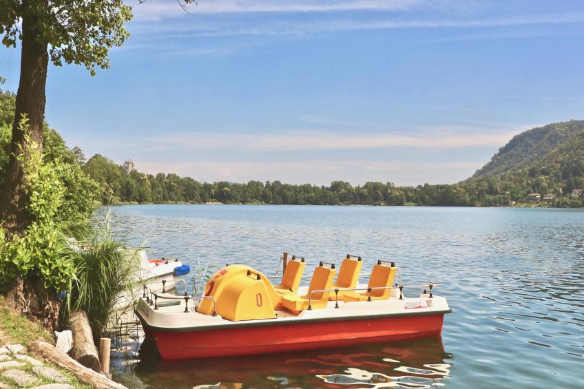 Rododendro Rosso - foto 36