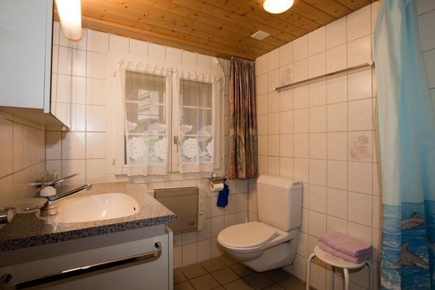 6.5 Zimmer Ferienwohnung Hofstatthaus - foto 5
