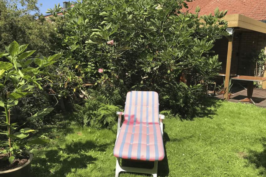 Küste, Ostende, Brügge, Plopsaland, Garten, Sauna. - foto 18