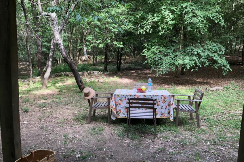 Kirschbäume, eine Oase im Wald zwischen Meer und Natur - foto 24