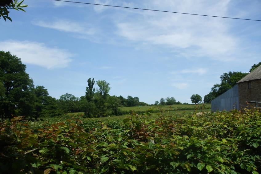Maison de vacances - PIONSAT - kleine gite - foto 26