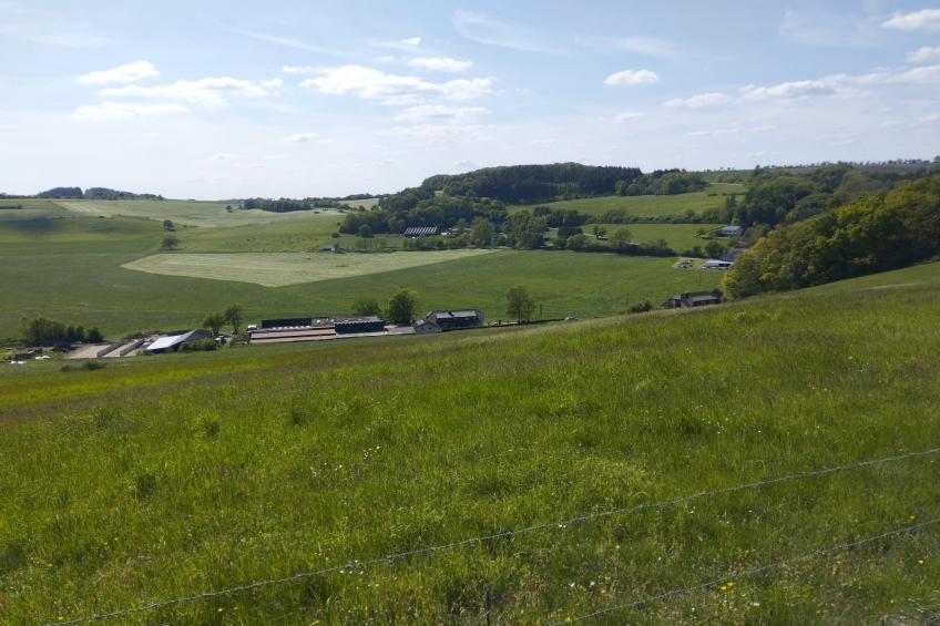 Ferienwohnung Winkel in der Vulkaneifel - foto 23