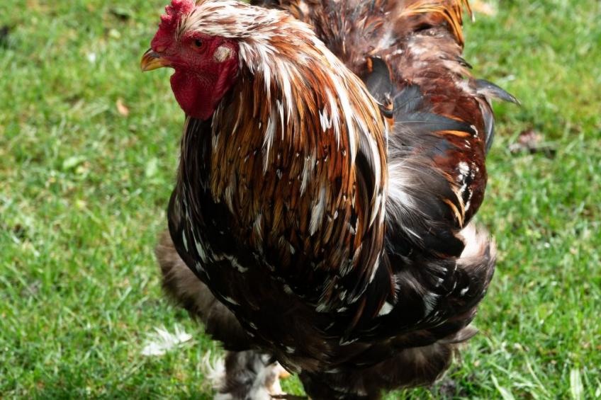 Suite Empire - foto 16