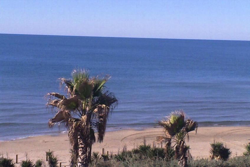 Résidence NATURISTE LA PALMERAIE - foto 7