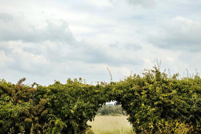 Foxley Lodge - foto 4