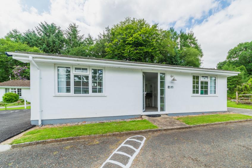 The Birches - foto 32