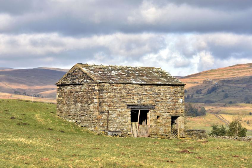 Dales Barn Top - foto 7