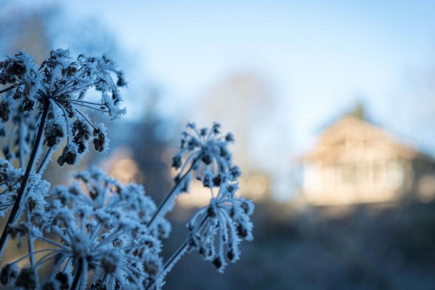FORSTGUT - Raum für wertvolle Zeit - foto 10