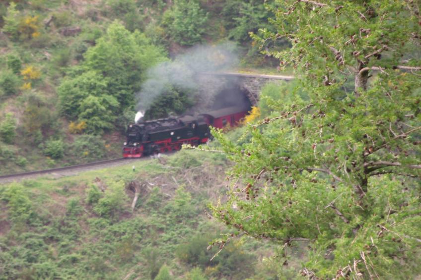 Ferienhaus Rosi - foto 27