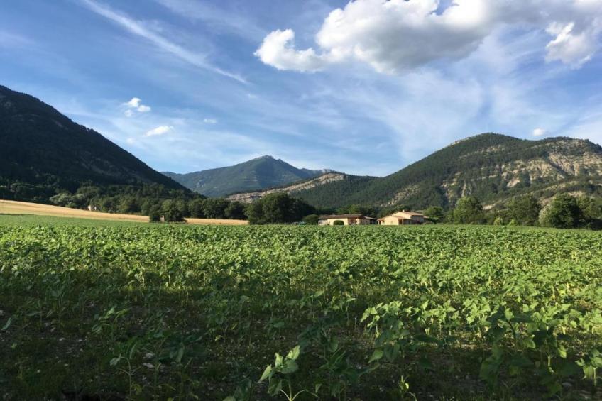 Maison de vacances - MARIGNAC-EN-DIOIS - foto 27