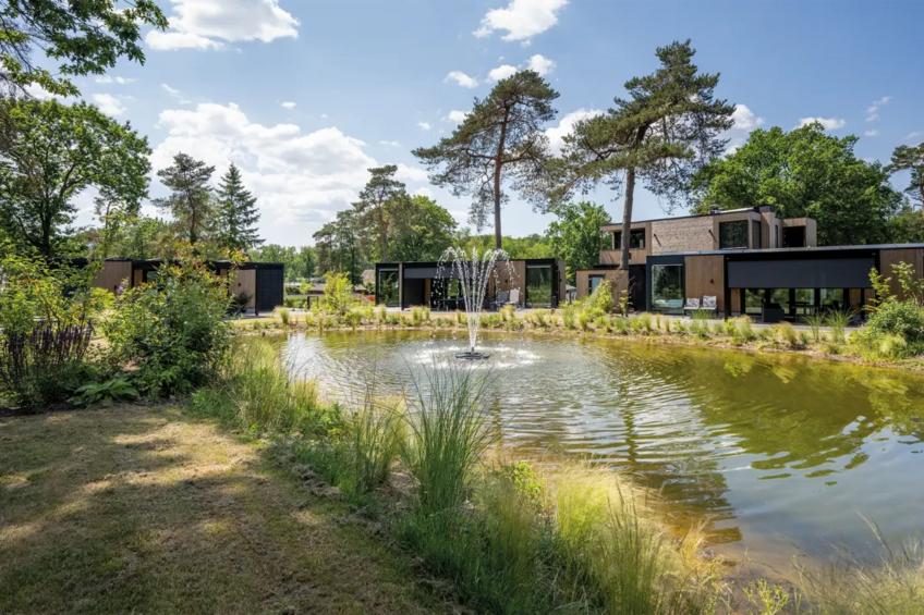 Veluwe lodge 4 people - foto 11