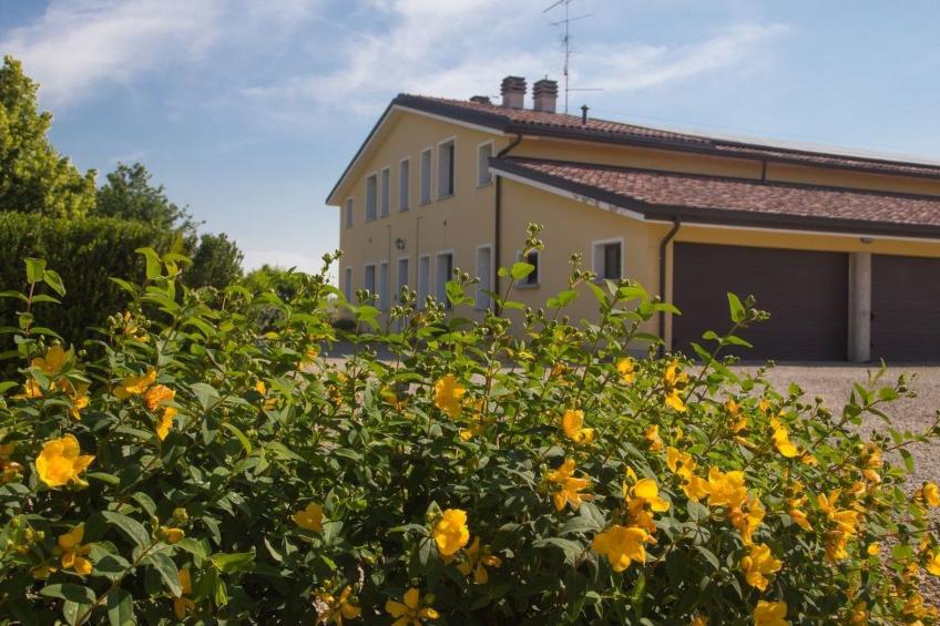 Wohnung "Erica" auf einem Bauernhof - foto 10