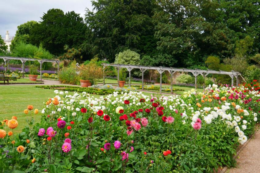 Helle Wohnung in Torquay mit Garten - foto 25