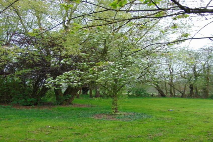 Verblijfpark Breebos 3 - foto 7