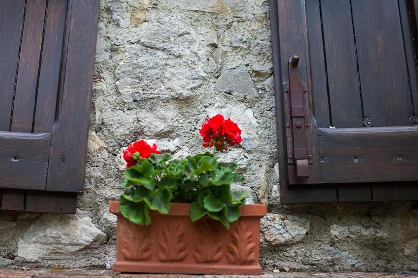 'Capanne 2 - foto 15