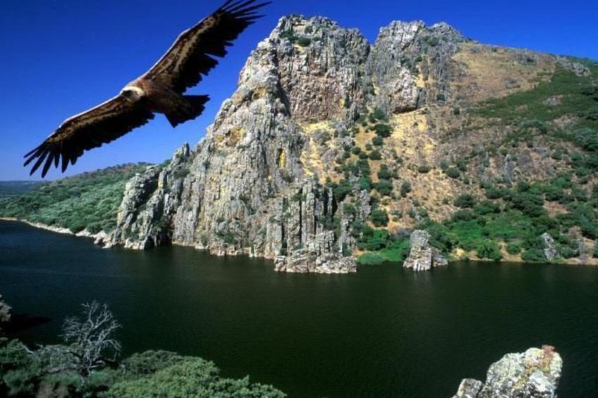 Rustikaler Urlaub in Casas Del Monte für 4 Personen - foto 22