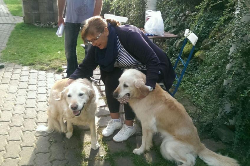 Ferienbungalow auf Gartengrundstück - foto 9