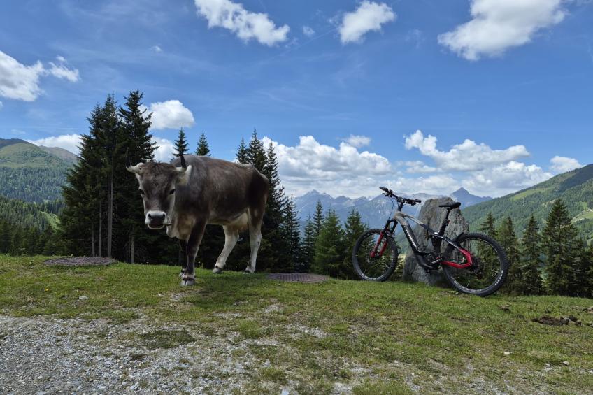 Naviser Hütte - foto 63