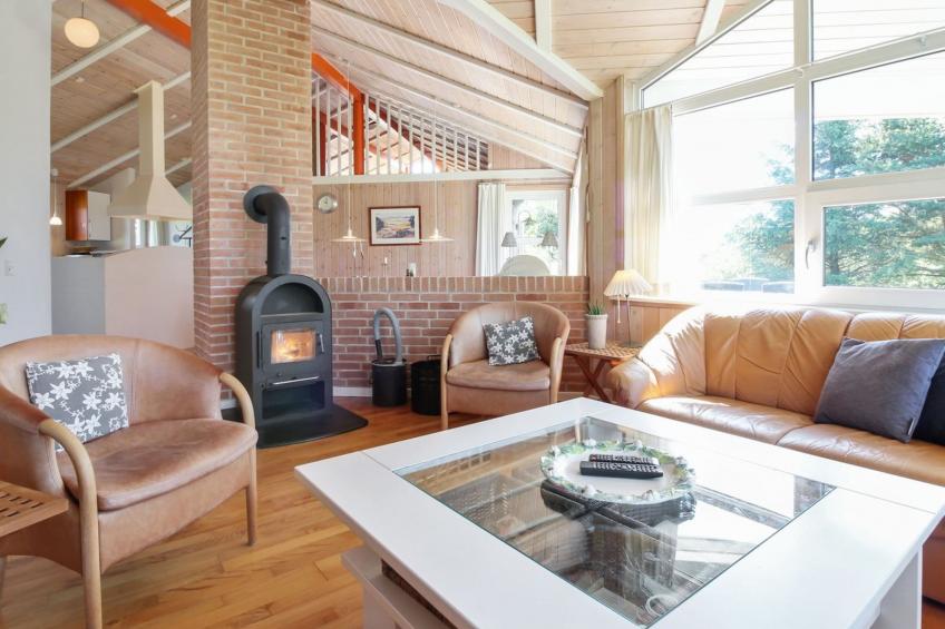 "Carlina" - 800m from the sea in NW Jutland - foto 3