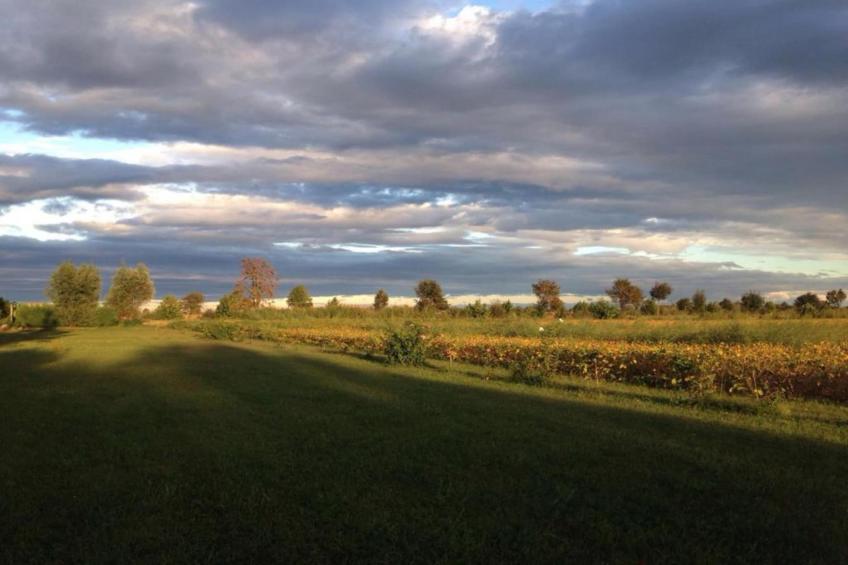 Casa Campagnola Uno - foto 28