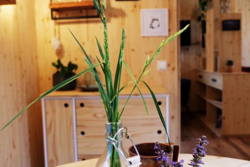 Tolles Ferienhaus in Bolanden mit Großer Terrasse - foto 6