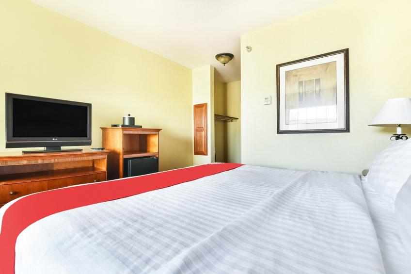 1 Bedroom Suite - foto 11
