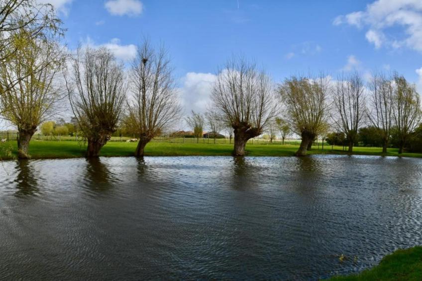 SIRENUSE I EN II I/0605 - foto 16