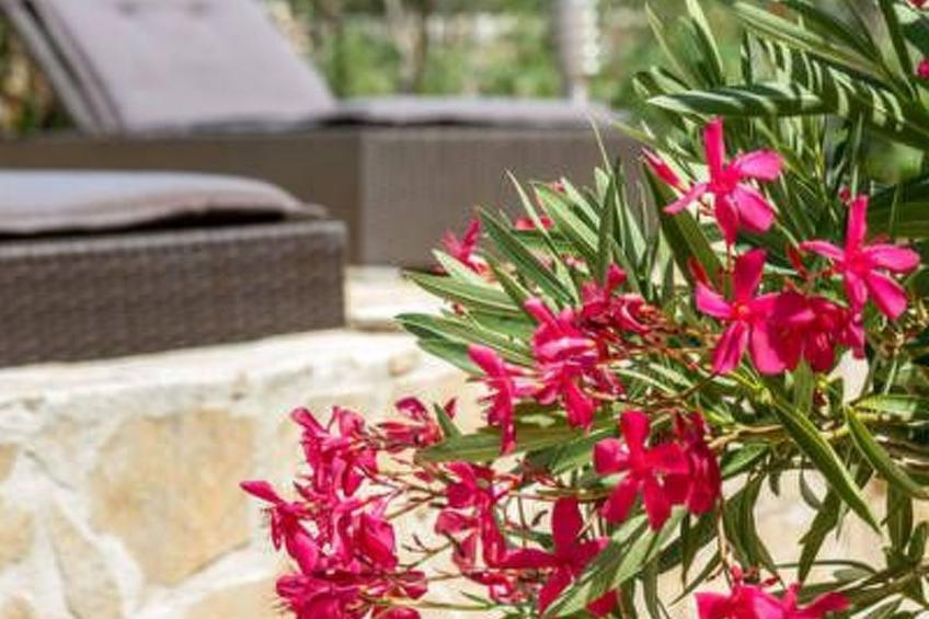 Hütte mit Garten, Grill und Terrasse - foto 4