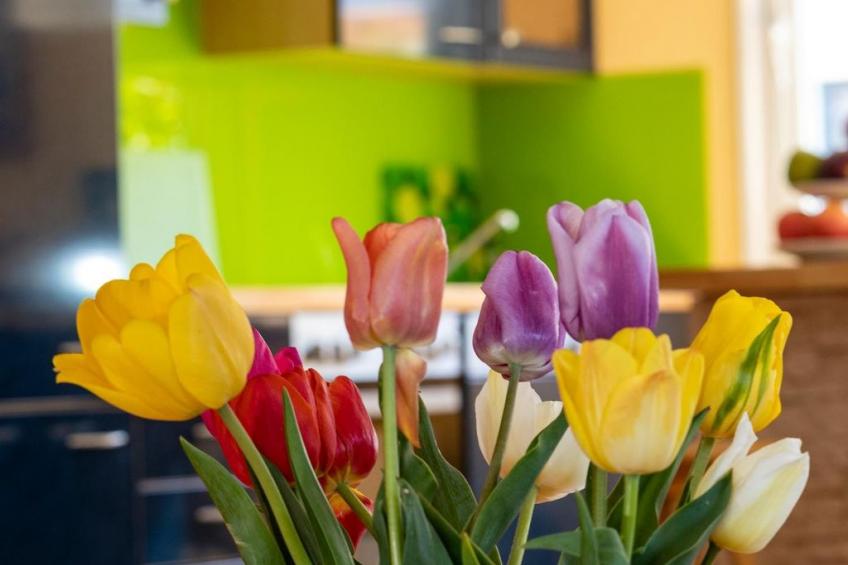 am Bodensee mit Garten und Terrasse - foto 4