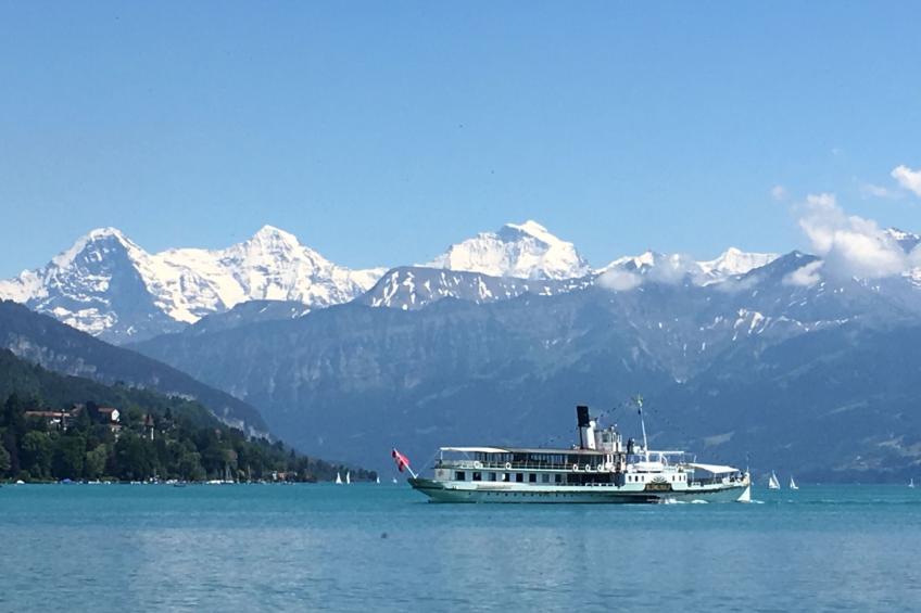 Chalet Hulda - foto 17