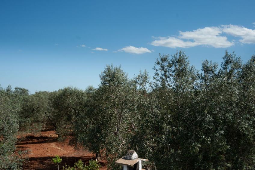 Bauernhof mit Schwimmbad und Babypark Brindisi am Meer - foto 16