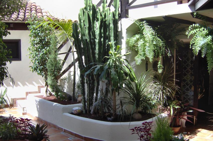 Apartamentos Monasterio de San Antonio 1 - foto 35