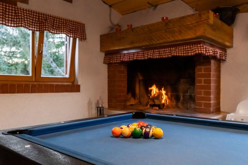 Mala vila Rebeka -großer SwimmingPool - foto 61