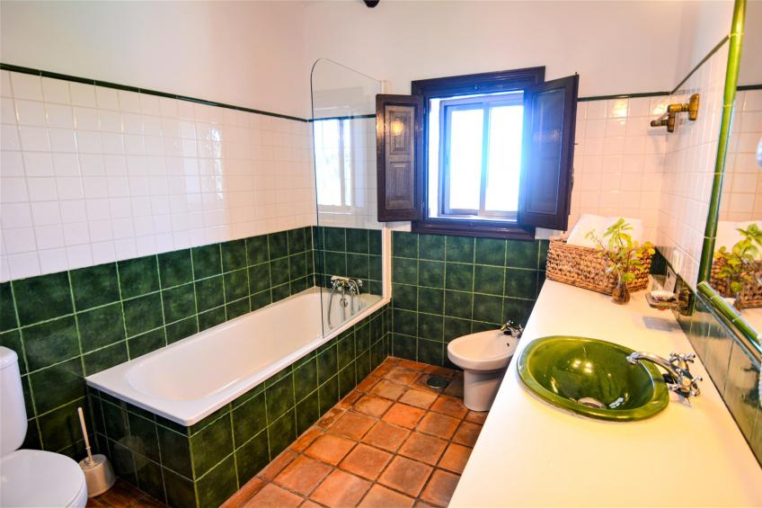 Finca las Chozas - foto 21