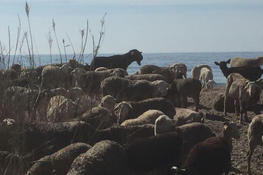 Casa Montana in Küstennähe... sehr empfehlenswert. - foto 37