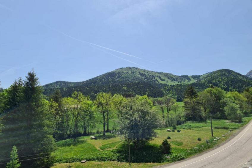 Les Gentianes - foto 29