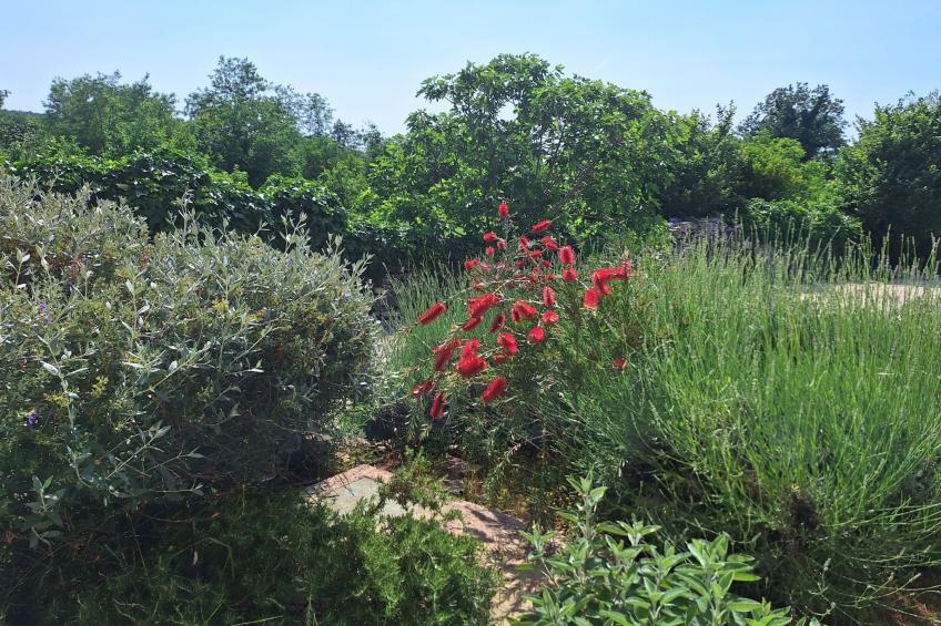 Villa Malini - foto 21