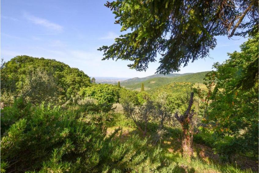 La Casa del Nonno - foto 34