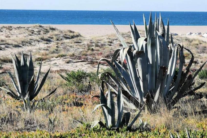 Résidence Maisons De La Mer 2 - foto 27