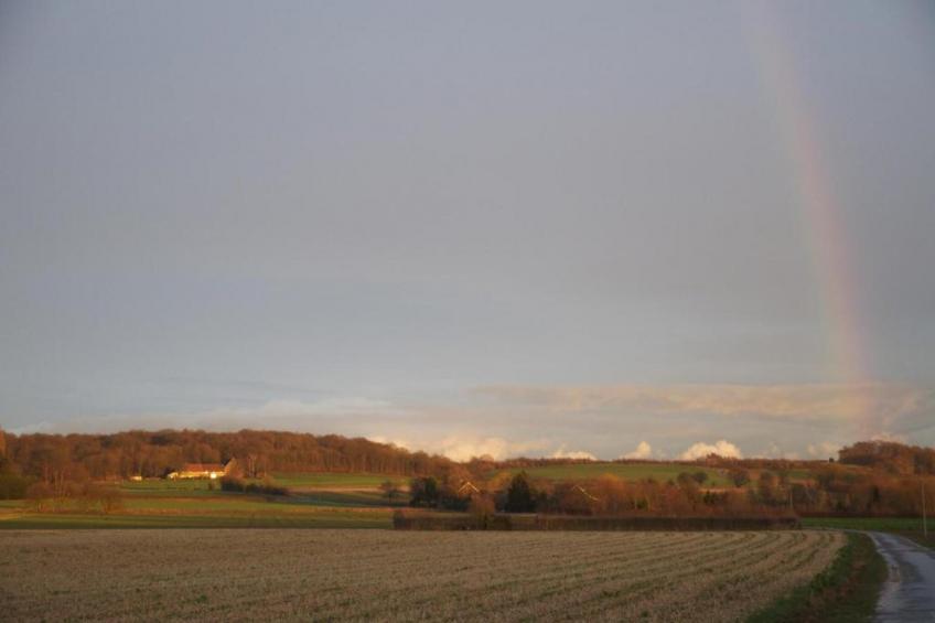 Resort Maastricht 38 - foto 31