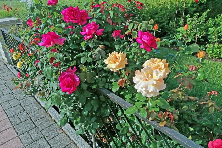 Ferien-Apartment - foto 19