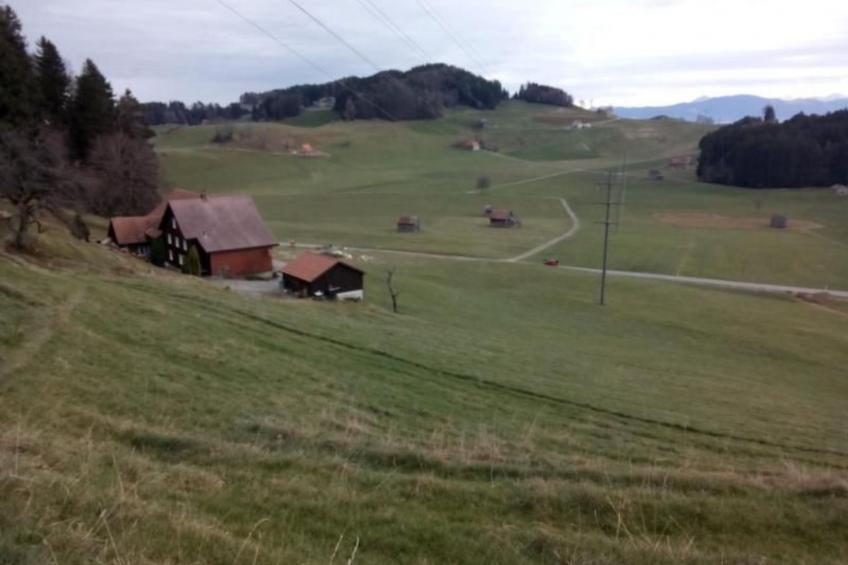 Ferien in der Vogelherd - foto 5